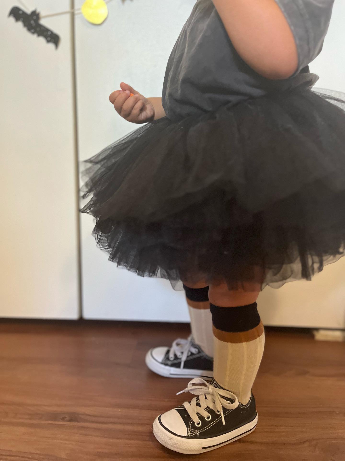 10 Layer Tulle Skirt - Ships late September