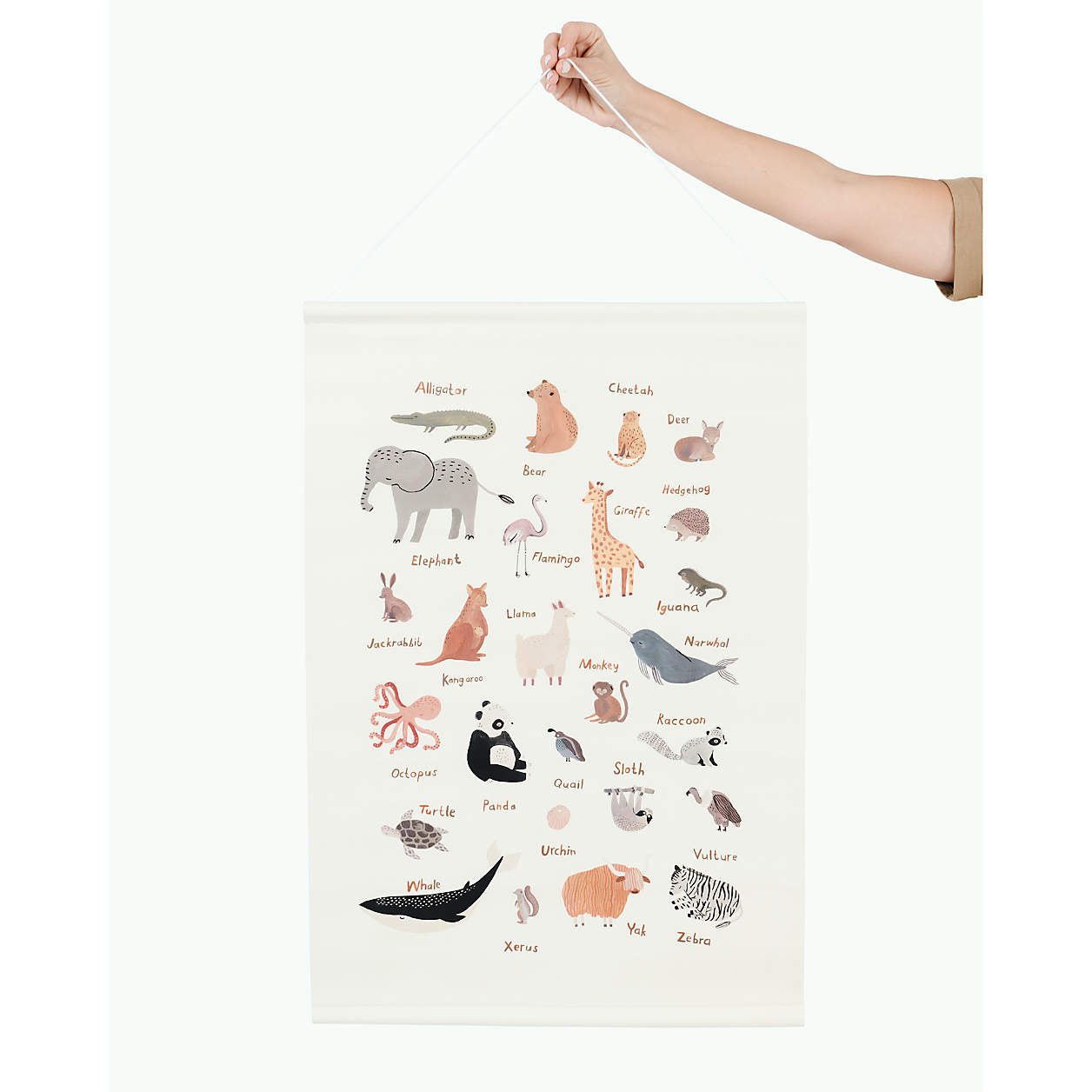 Gathre Animal Alphabet Poster
