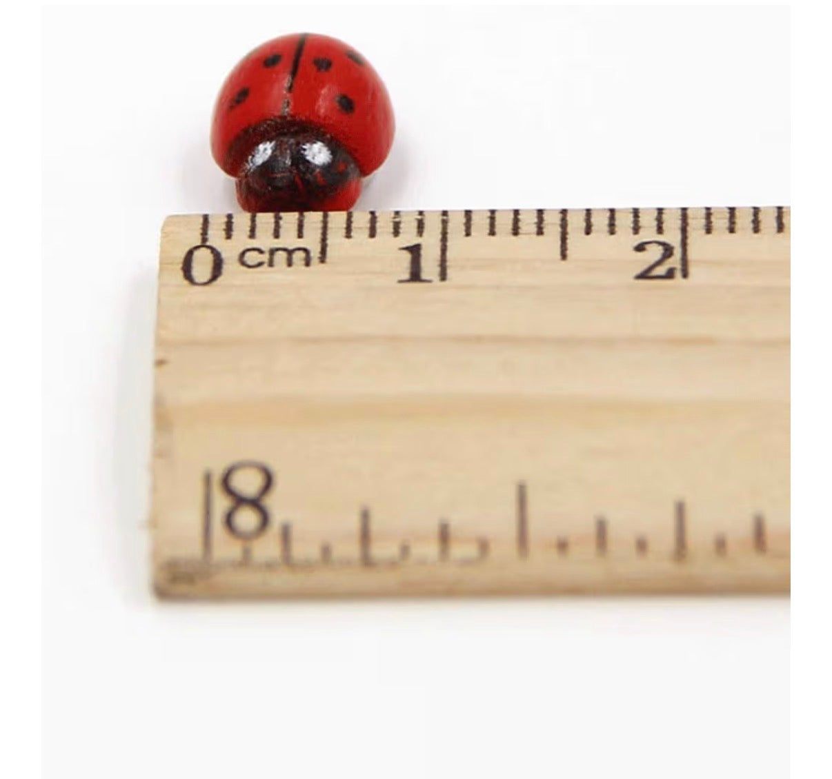 Charlie’s Ladybug (pre-order ~ eta  approx mid June)