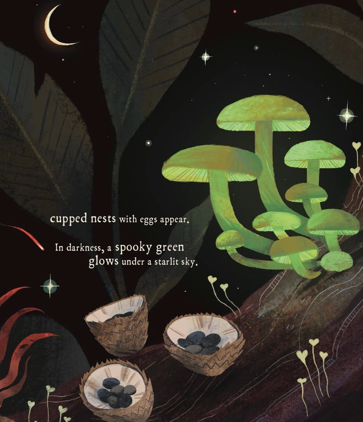 Mushroom Rain Hardcover Book